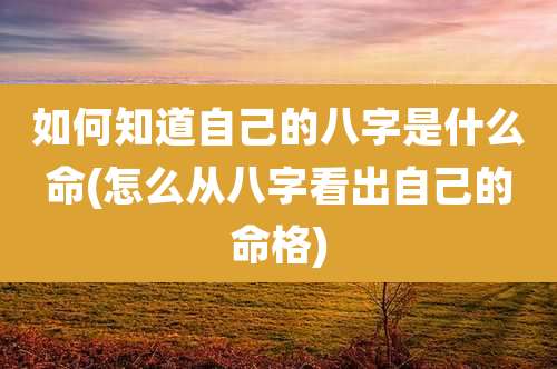 如何知道自己的八字是什么命(怎么从八字看出自己的命格)