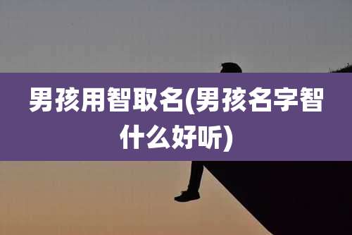 男孩用智取名(男孩名字智什么好听)