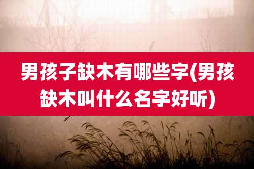 男孩子缺木有哪些字(男孩缺木叫什么名字好听)