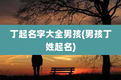 丁起名字大全男孩(男孩丁姓起名)