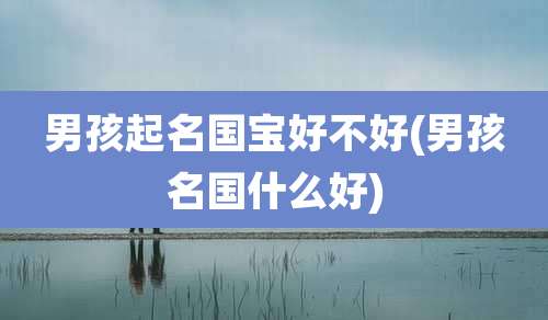 男孩起名国宝好不好(男孩名国什么好)