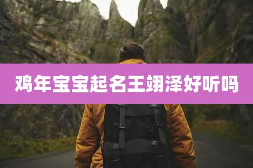 鸡年宝宝起名王翊泽好听吗