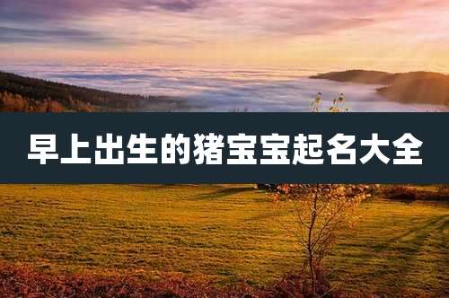 早上出生的猪宝宝起名大全