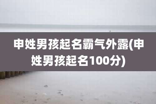 申姓男孩起名霸气外露(申姓男孩起名100分)