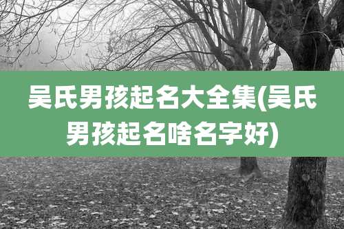 吴氏男孩起名大全集(吴氏男孩起名啥名字好)