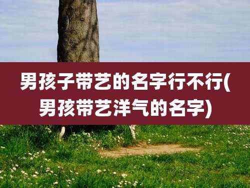 男孩子带艺的名字行不行(男孩带艺洋气的名字)