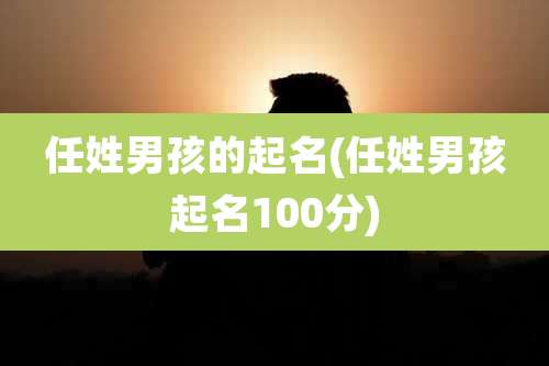 任姓男孩的起名(任姓男孩起名100分)