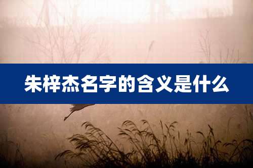 朱梓杰名字的含义是什么