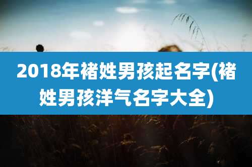 2018年褚姓男孩起名字(褚姓男孩洋气名字大全)