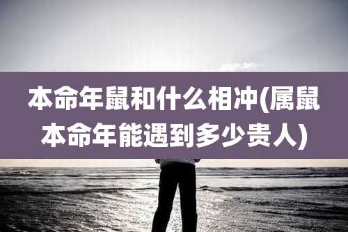 本命年鼠和什么相冲(属鼠本命年能遇到多少贵人)