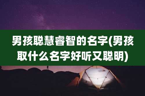 男孩聪慧睿智的名字(男孩取什么名字好听又聪明)