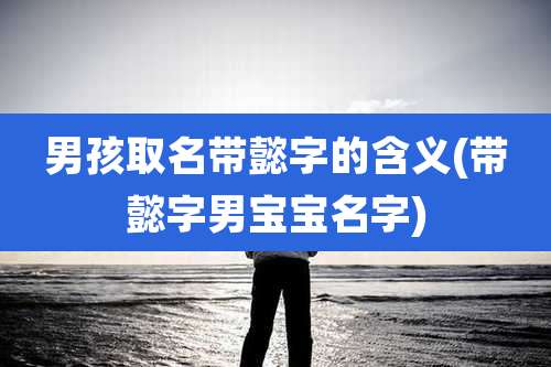 男孩取名带懿字的含义(带懿字男宝宝名字)