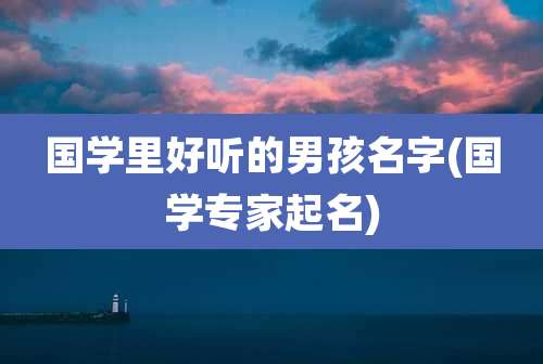 国学里好听的男孩名字(国学专家起名)