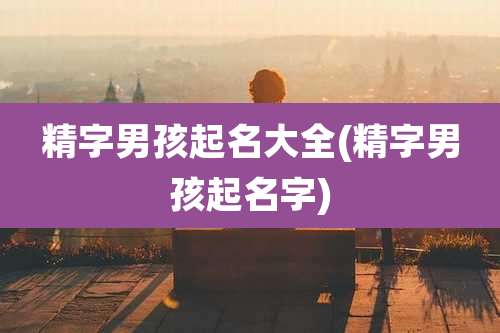 精字男孩起名大全(精字男孩起名字)