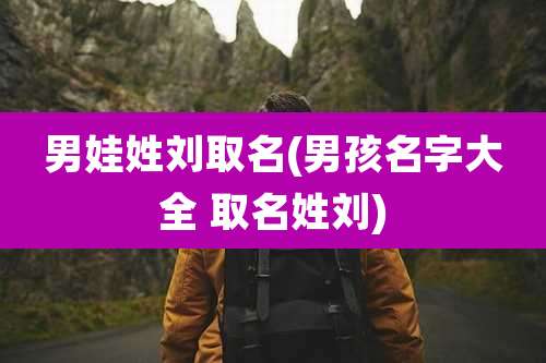 男娃姓刘取名(男孩名字大全 取名姓刘)