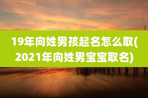 19年向姓男孩起名怎么取(2021年向姓男宝宝取名)