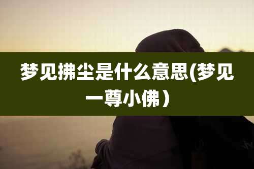 梦见拂尘是什么意思(梦见一尊小佛)