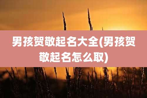 男孩贺敬起名大全(男孩贺敬起名怎么取)