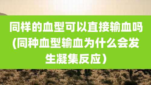 同样的血型可以直接输血吗(同种血型输血为什么会发生凝集反应)
