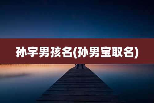 孙字男孩名(孙男宝取名)
