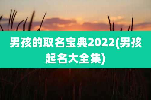 男孩的取名宝典2022(男孩起名大全集)