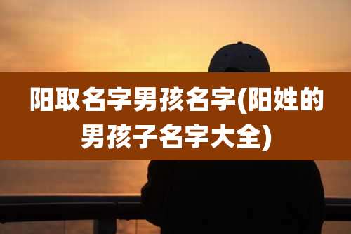 阳取名字男孩名字(阳姓的男孩子名字大全)