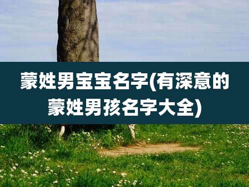 蒙姓男宝宝名字(有深意的蒙姓男孩名字大全)