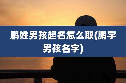 鹏姓男孩起名怎么取(鹏字男孩名字)