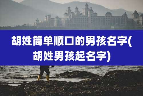 胡姓简单顺口的男孩名字(胡姓男孩起名字)