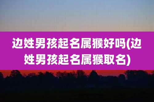 边姓男孩起名属猴好吗(边姓男孩起名属猴取名)