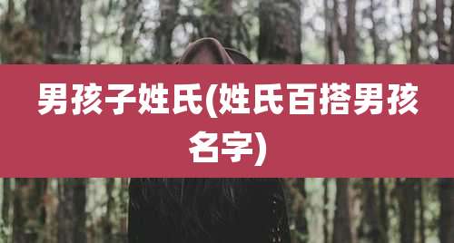 男孩子姓氏(姓氏百搭男孩名字)