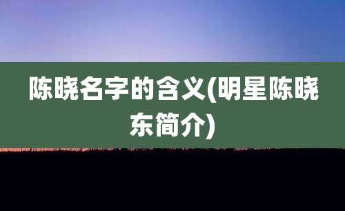 陈晓名字的含义(明星陈晓东简介)