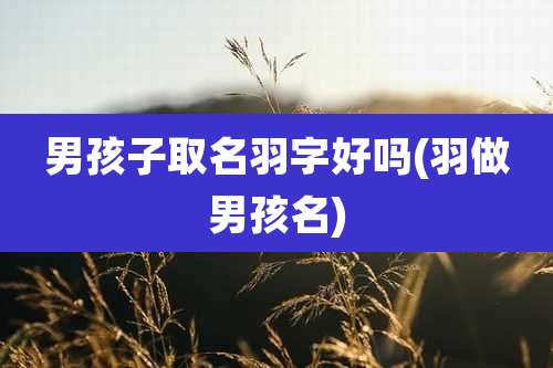 男孩子取名羽字好吗(羽做男孩名)