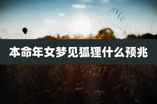 本命年女梦见狐狸什么预兆