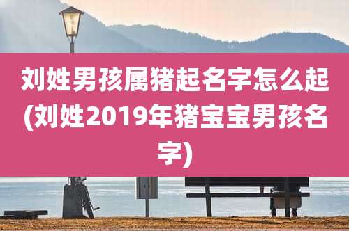 刘姓男孩属猪起名字怎么起(刘姓2019年猪宝宝男孩名字)