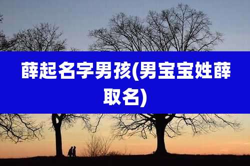 薛起名字男孩(男宝宝姓薛取名)