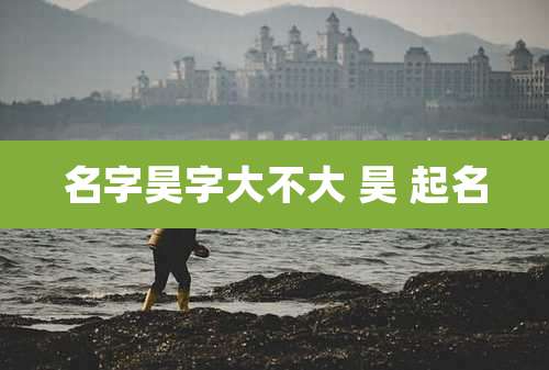 名字昊字大不大 昊 起名