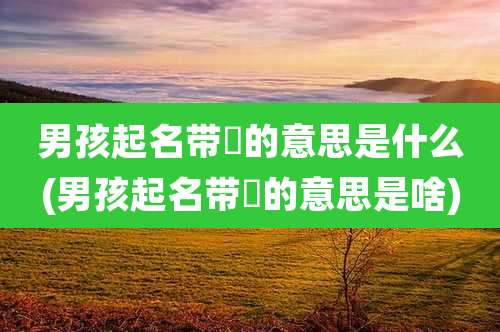 男孩起名带堃的意思是什么(男孩起名带堃的意思是啥)