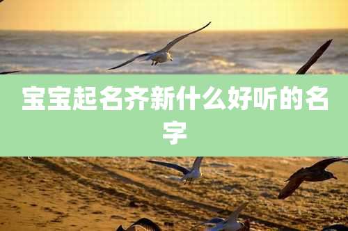 宝宝起名齐新什么好听的名字
