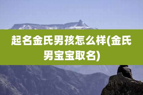 起名金氏男孩怎么样(金氏男宝宝取名)