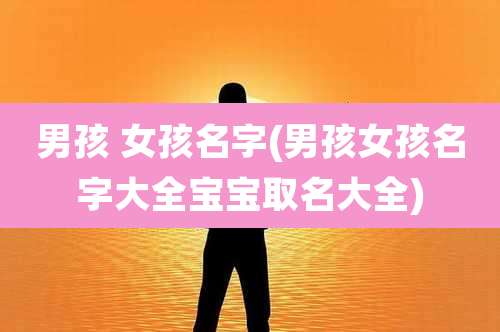 男孩 女孩名字(男孩女孩名字大全宝宝取名大全)