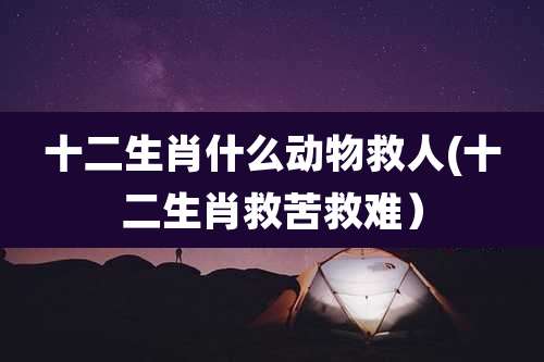 十二生肖什么动物救人(十二生肖救苦救难）
