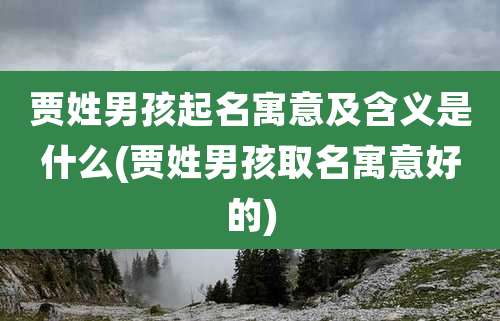 贾姓男孩起名寓意及含义是什么(贾姓男孩取名寓意好的)