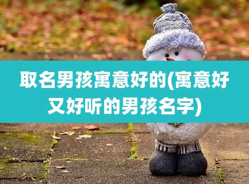 取名男孩寓意好的(寓意好又好听的男孩名字)