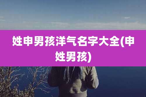 姓申男孩洋气名字大全(申姓男孩)