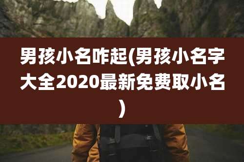 男孩小名咋起(男孩小名字大全2020最新免费取小名)
