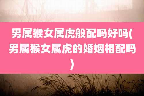 男属猴女属虎般配吗好吗(男属猴女属虎的婚姻相配吗)