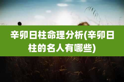 辛卯日柱命理分析(辛卯日柱的名人有哪些)