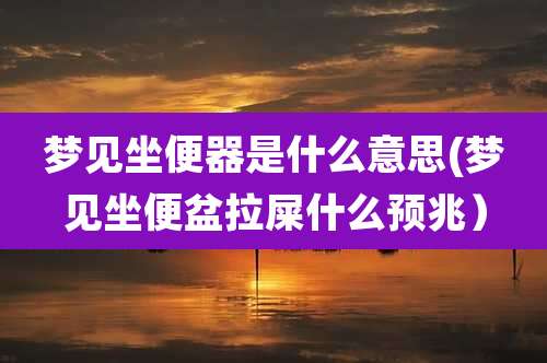 梦见坐便器是什么意思(梦见坐便盆拉屎什么预兆）