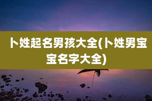 卜姓起名男孩大全(卜姓男宝宝名字大全)